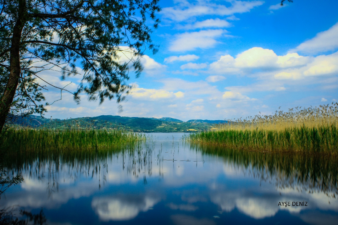 Sapanca,Kırkpınar