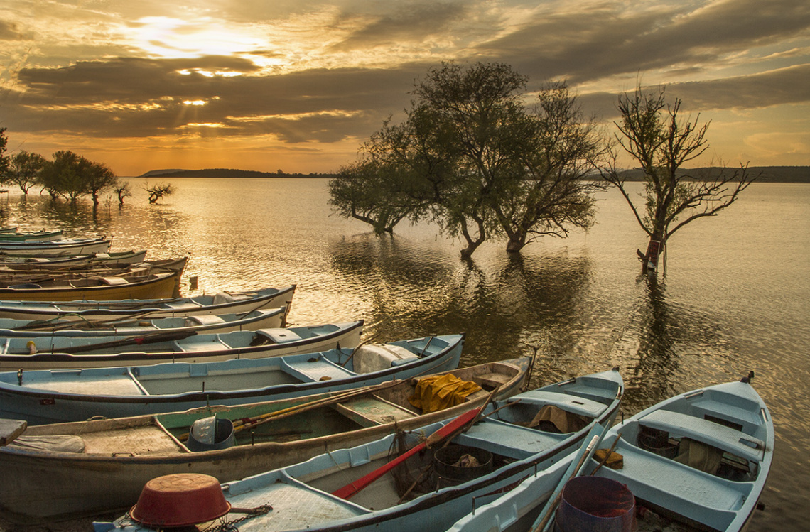 Gölyazı