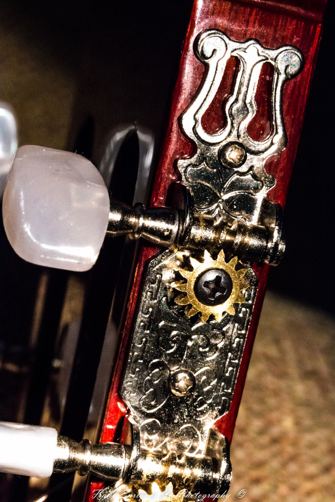 Up Close Guitar Machines