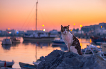 Pendik Sahil