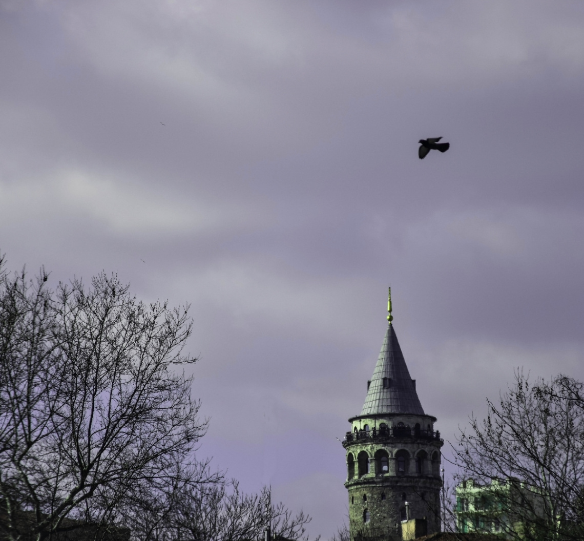 Galata Tower