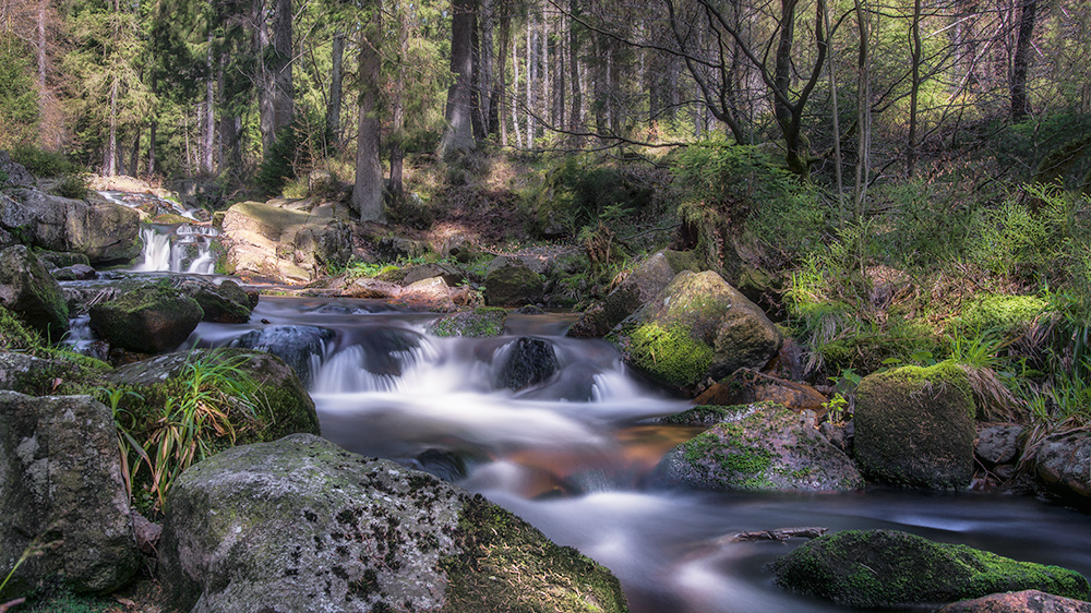 Little Waterfall River Bode