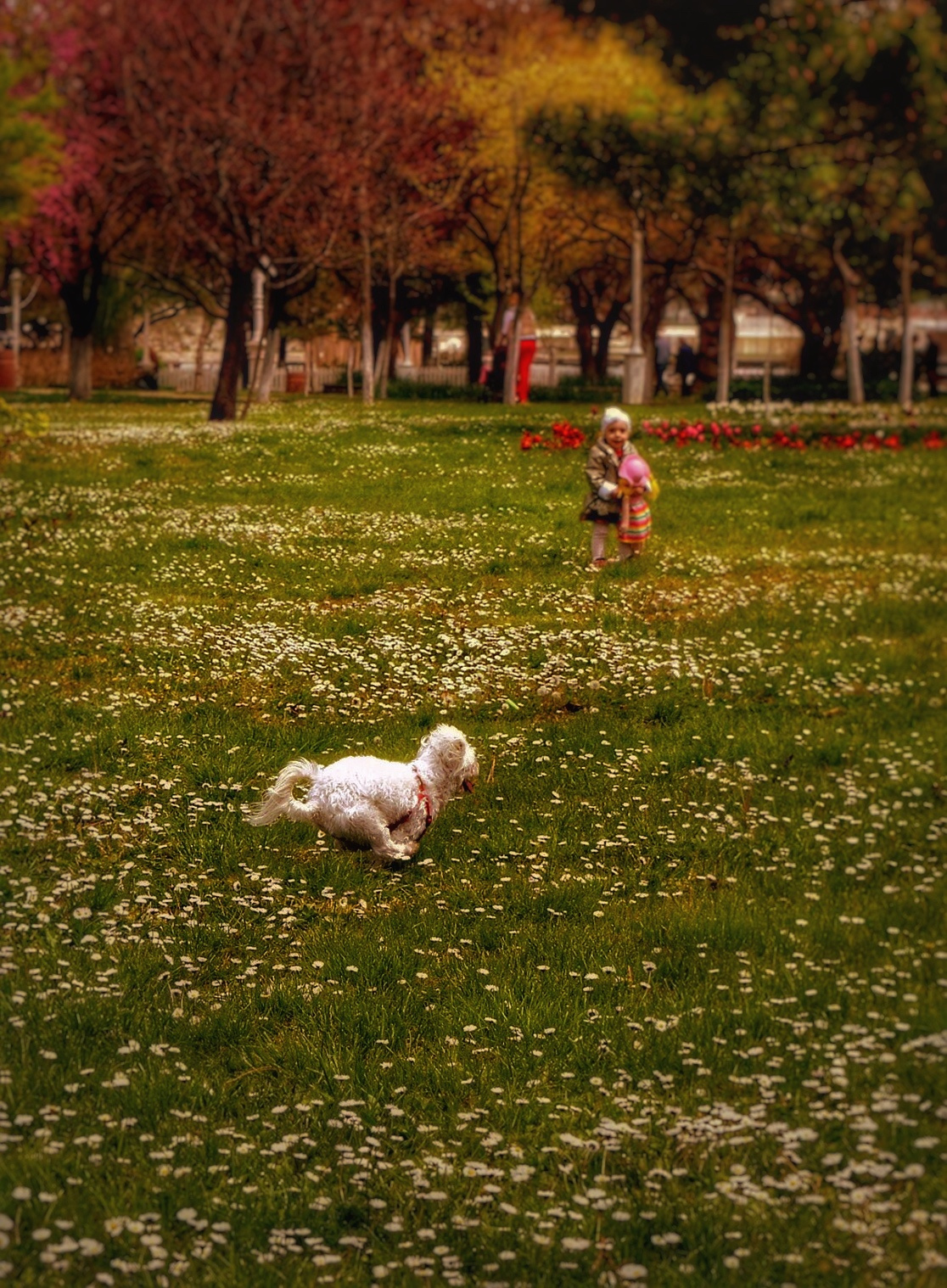 Koş Cindy koş 