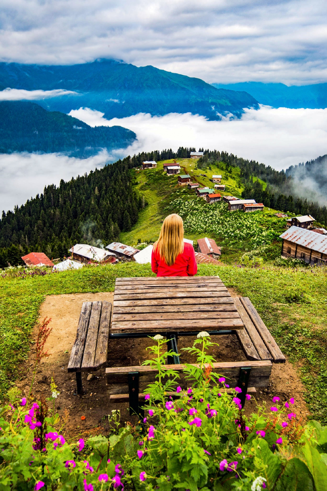 K.deniz-2016:Pokut Yaylası/Ç:HEMŞİN.