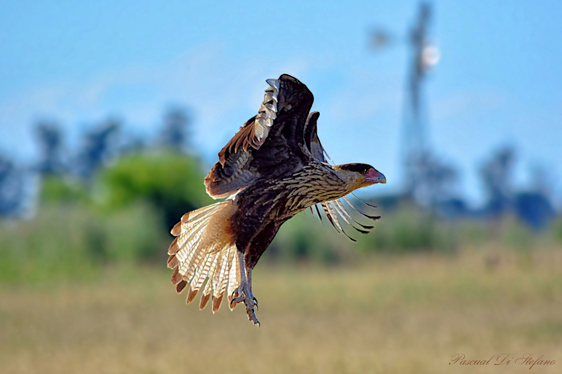 Vertical take off IV