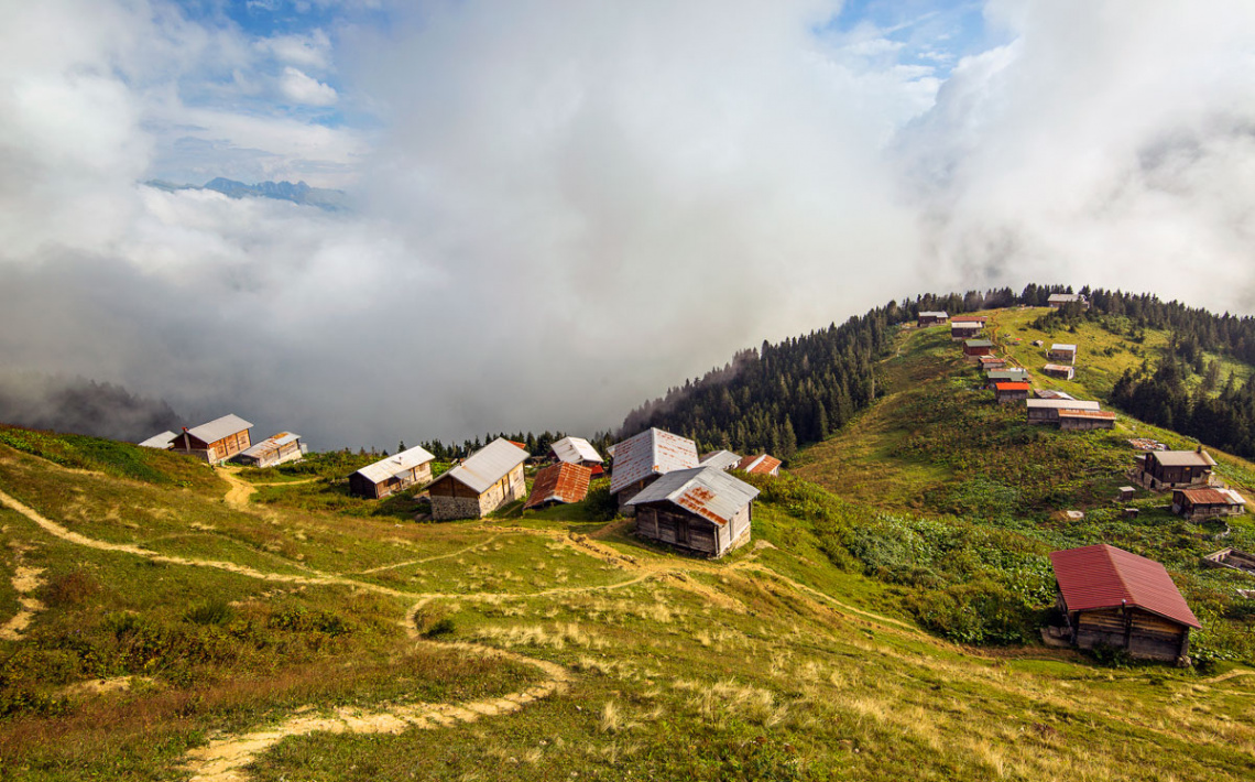 Pokut/Çamlıhemşin