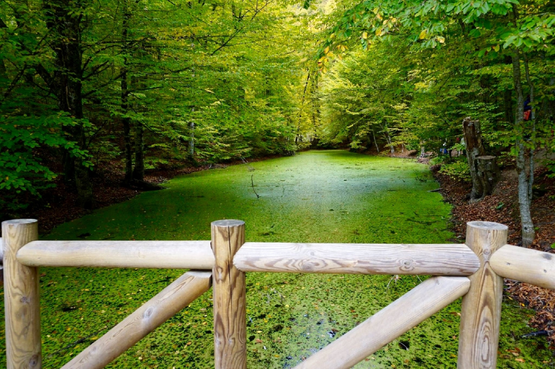 Yedigöller/Bolu