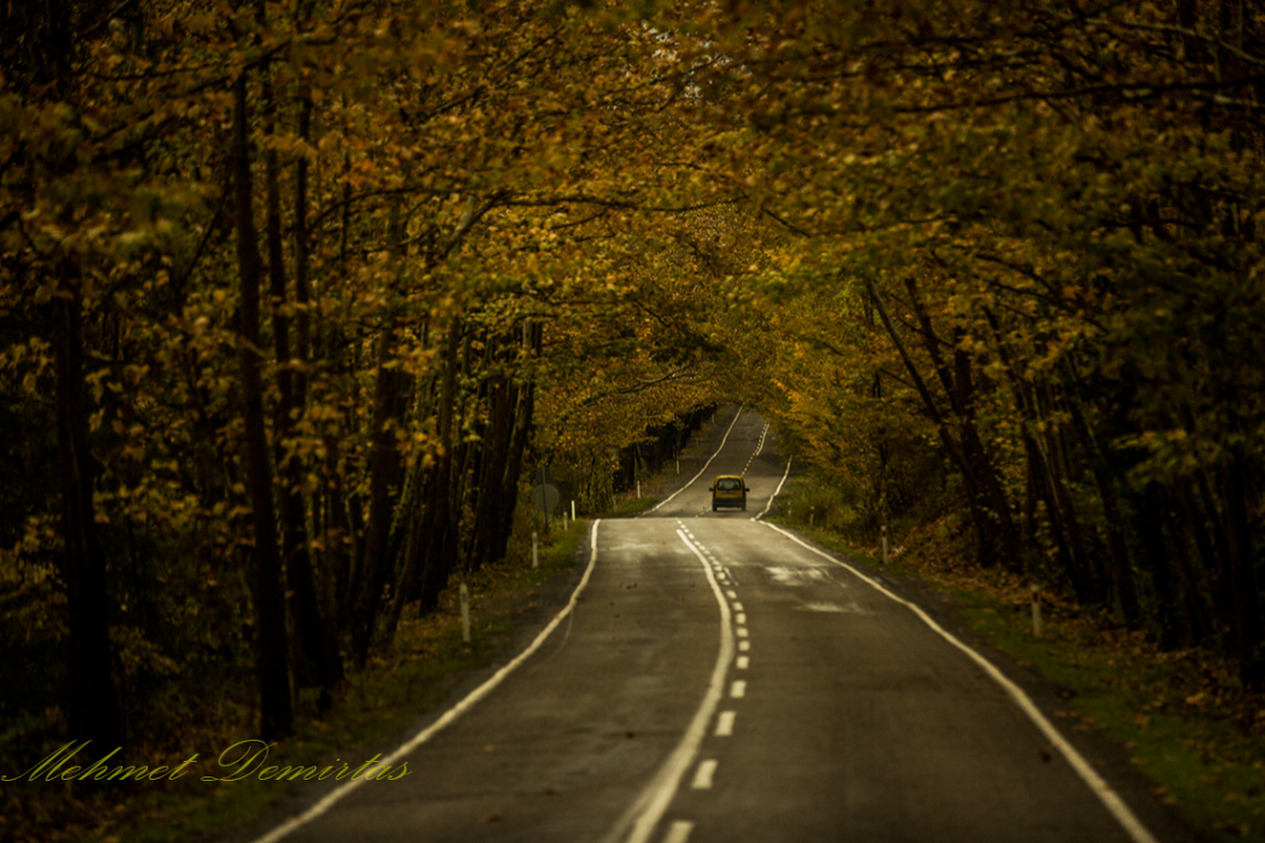 bartın yolu