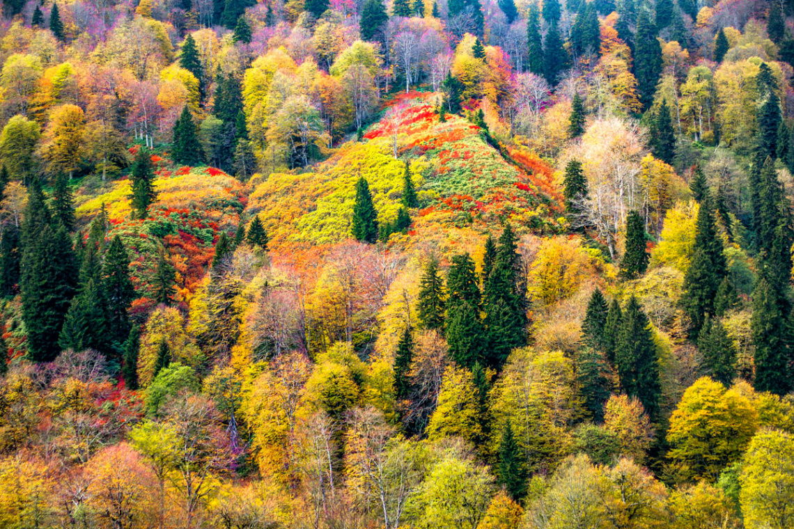 Autumn in Karagöl.BORÇKA.