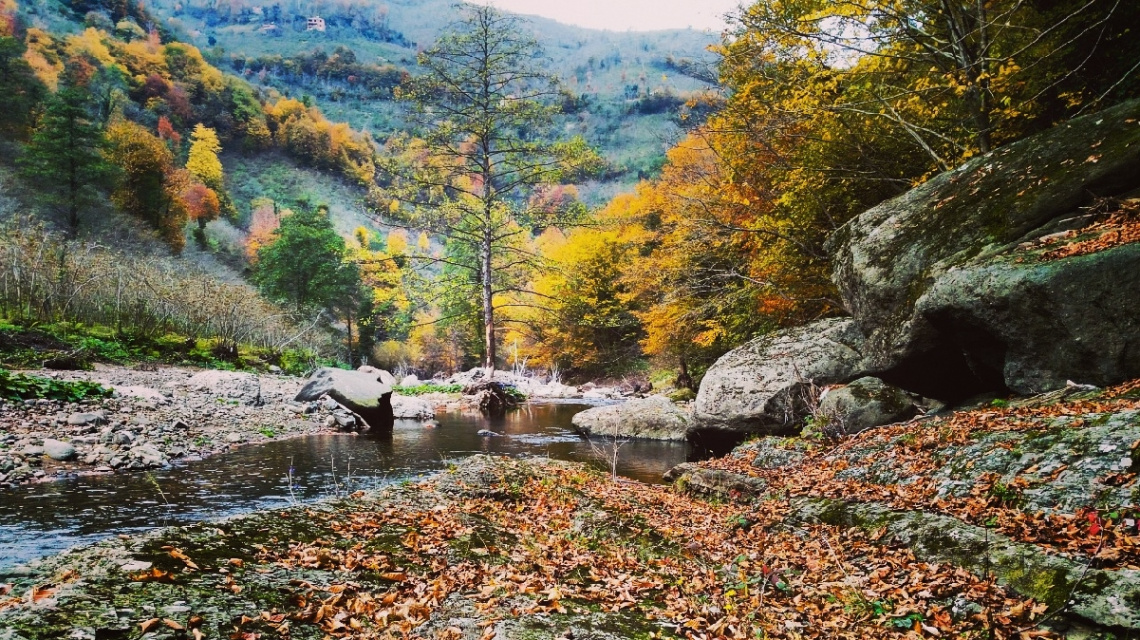 Mevsim artık sonbahar