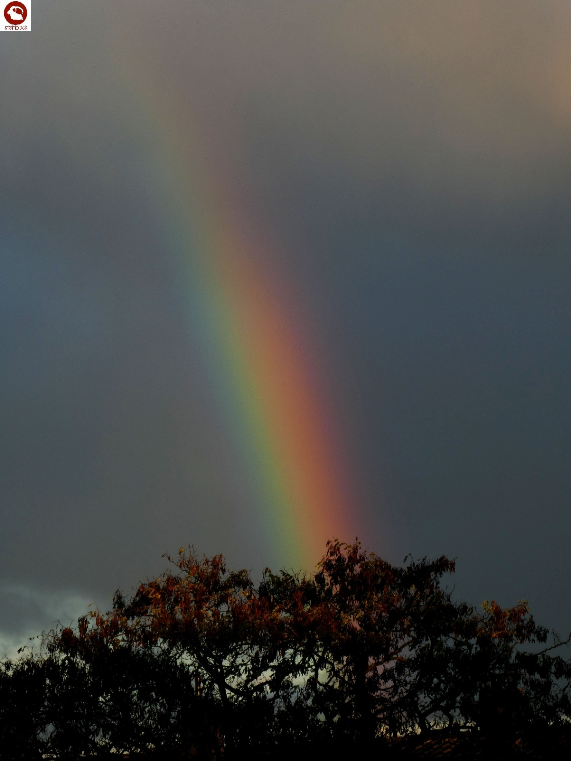 Regenbogen