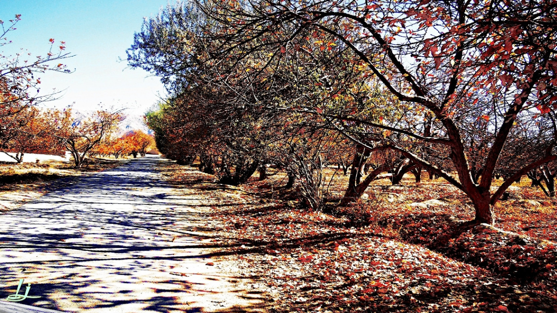 Autumn scene at My valley...