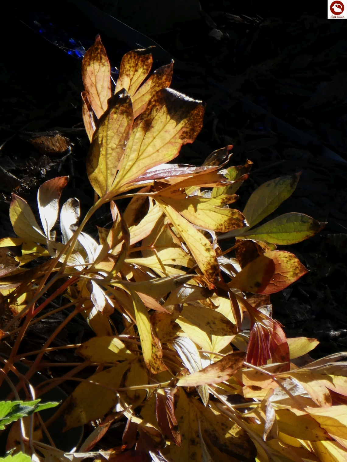 Licht und Schatten