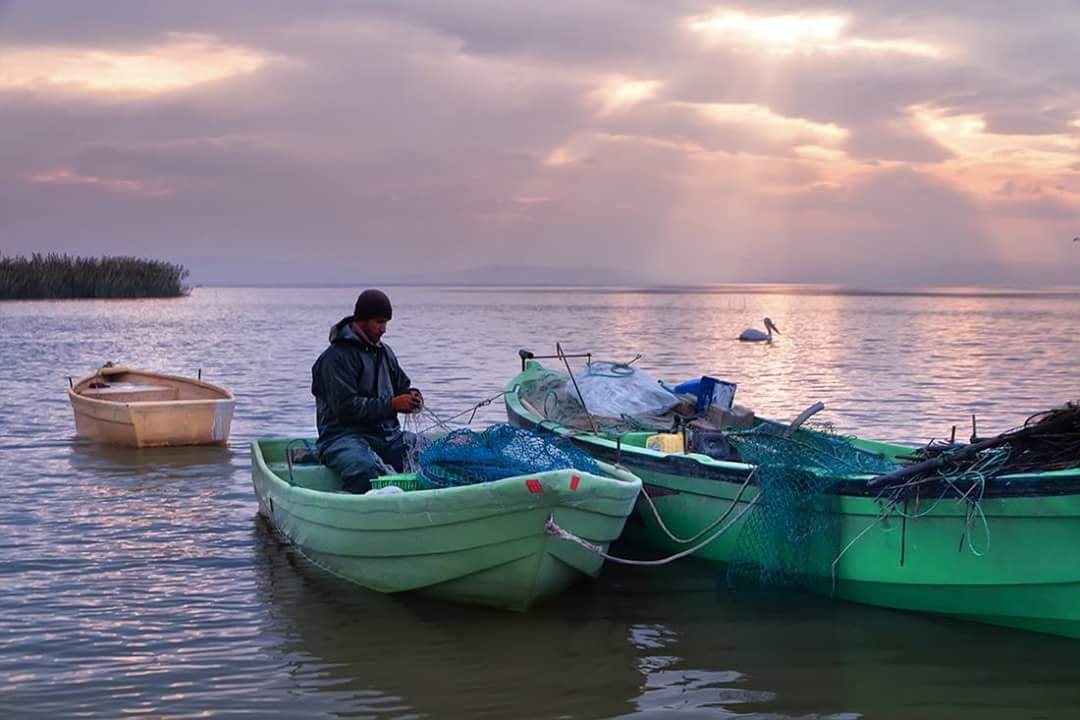 Balıkçı-Manyas