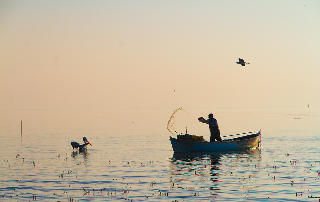 Balıkçı-Manyas