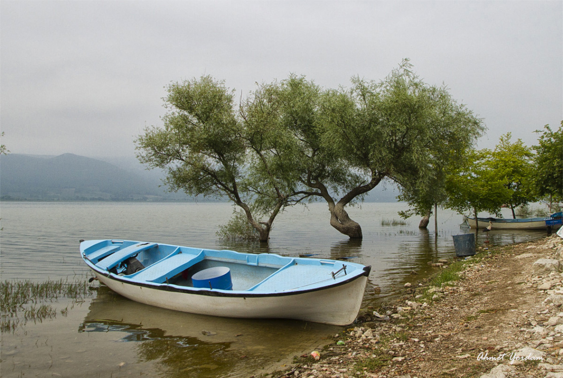 Gõlyazı