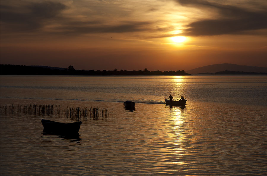 Gölyazı