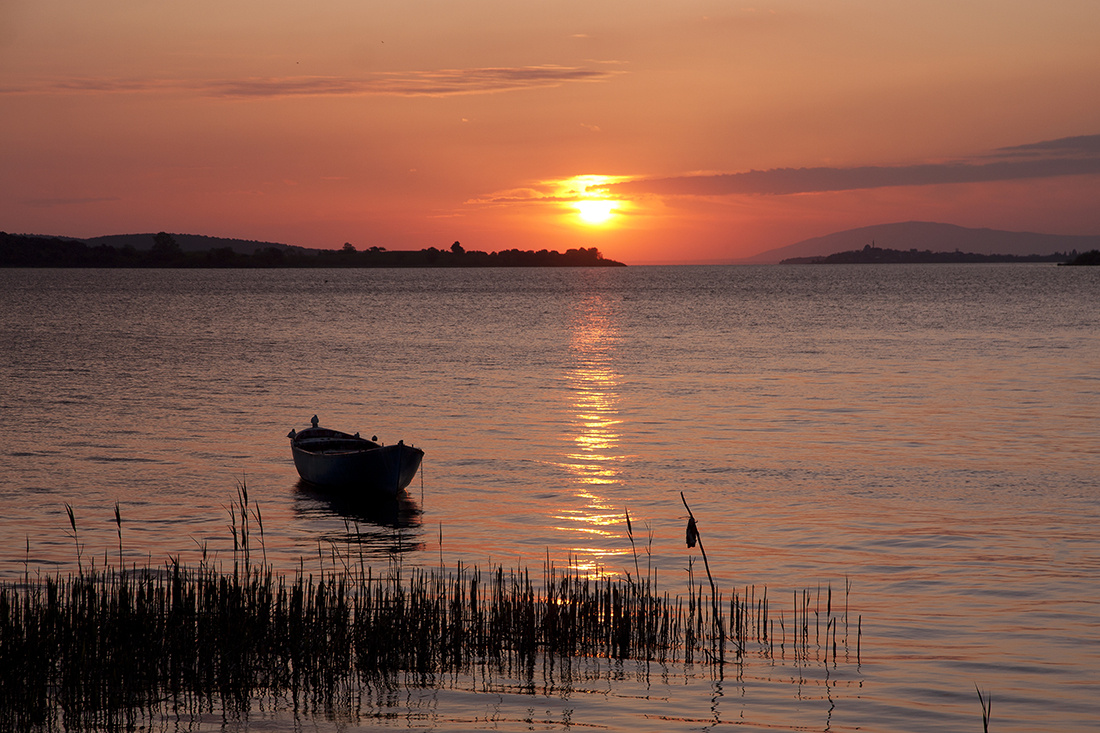 Gõlyazı