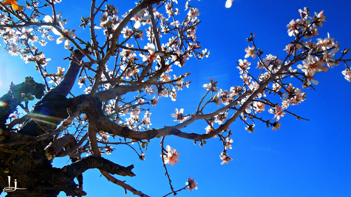 Spring Yawn....