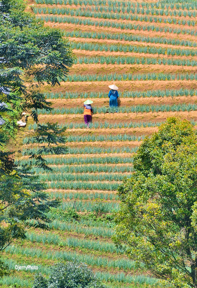 Two farmers