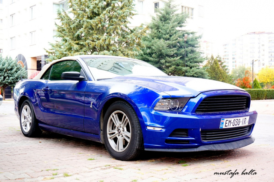 Miniciks Hayatlar  MUSTANG 