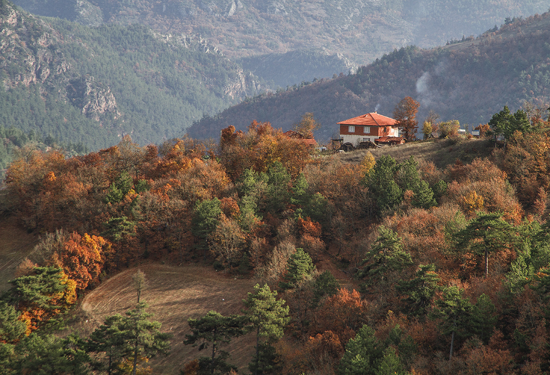 Bursa Mustafakemalpaşa