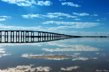 Blue reflection