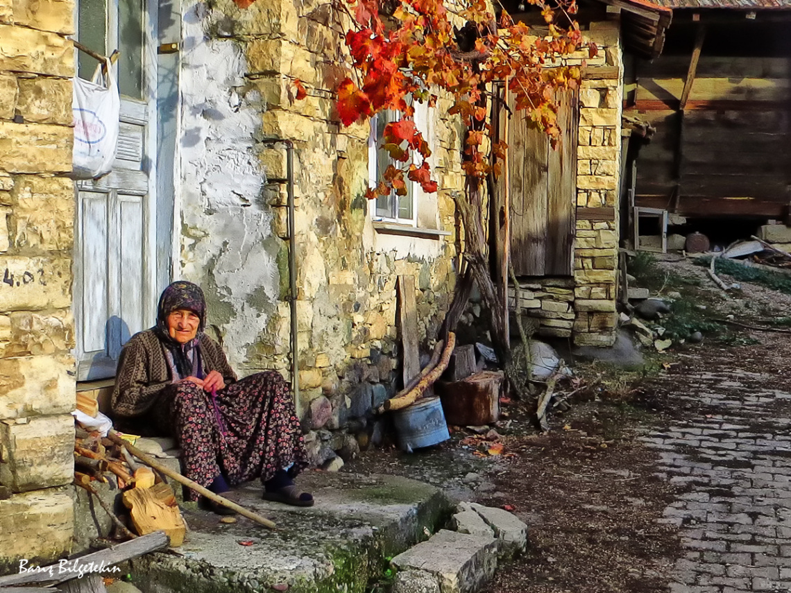 Teşekkürler teyzeciğim