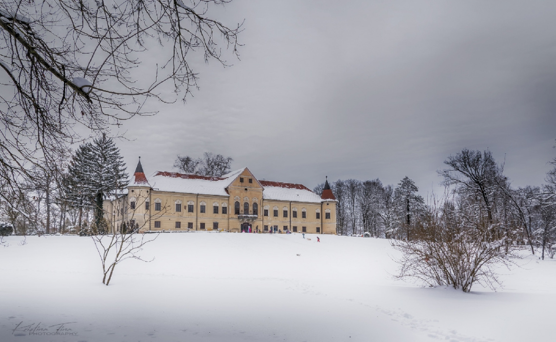 Winter beauty