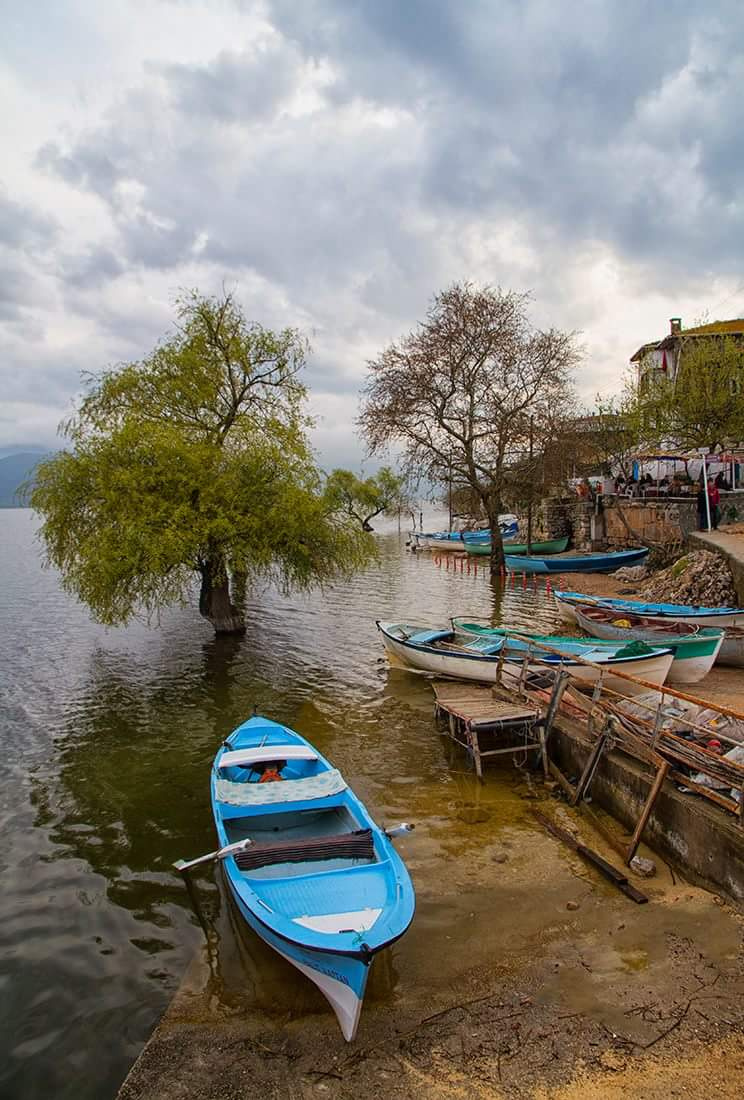 Gölyazı 