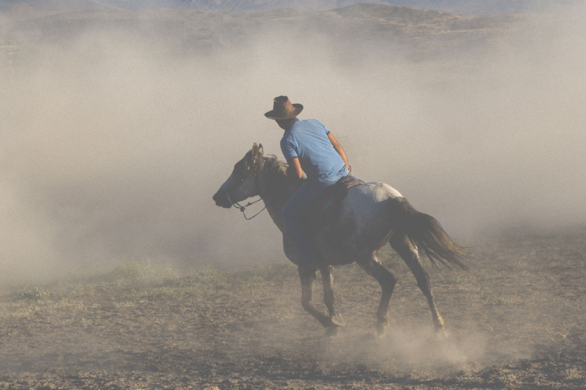 Lonely cowboy