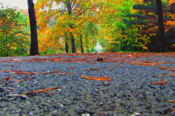 ATATÜRK ARBORETUM'U-İSTANBUL