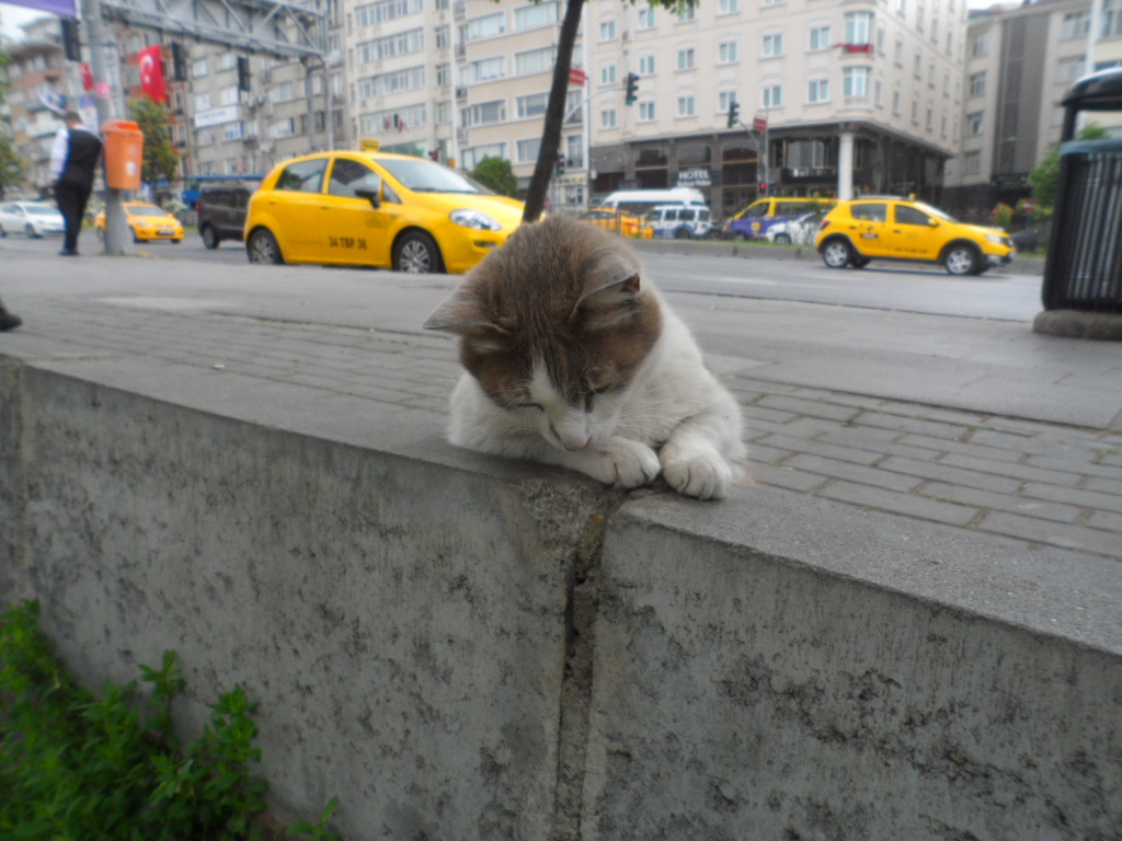 ''İşleri kolayladın mı komşu :) ''