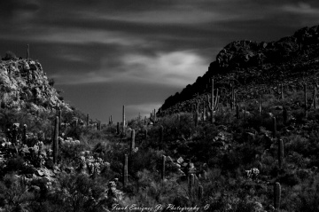 A Black And White Desert