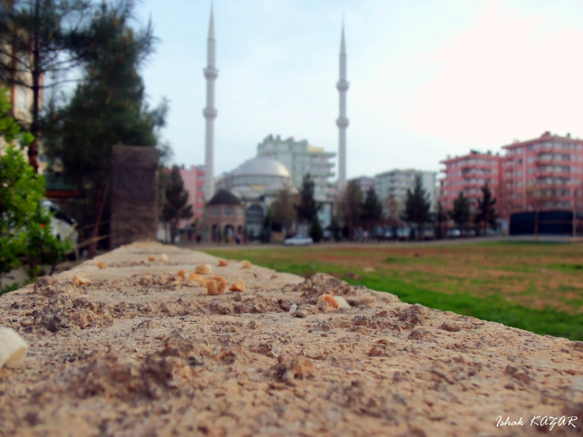 bakış