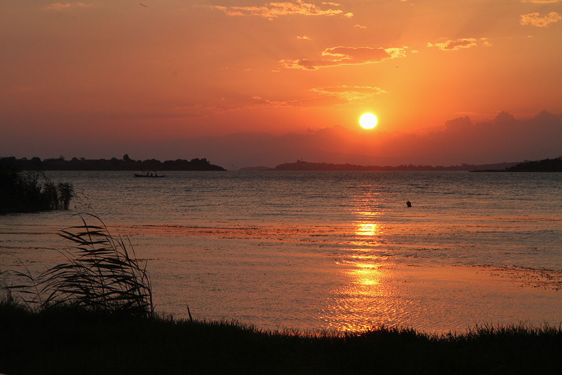 Gölyazı 