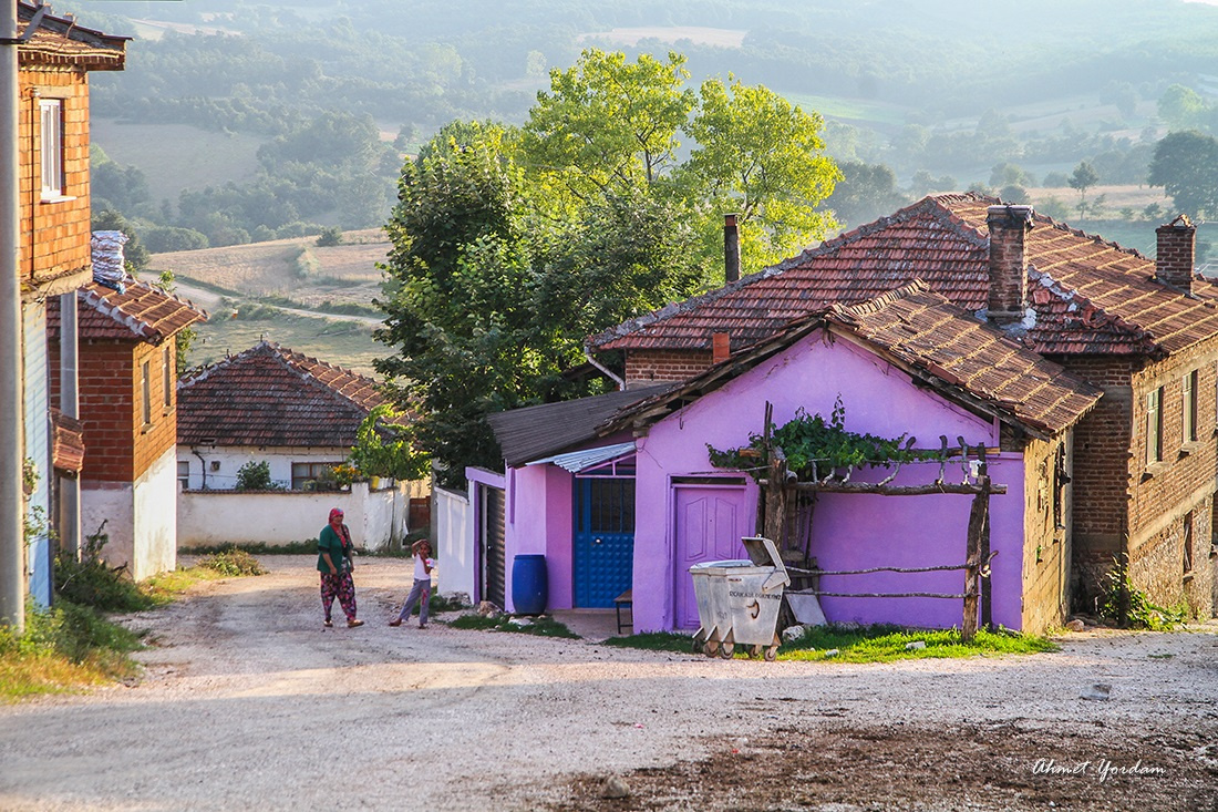 Köy Yaşam 