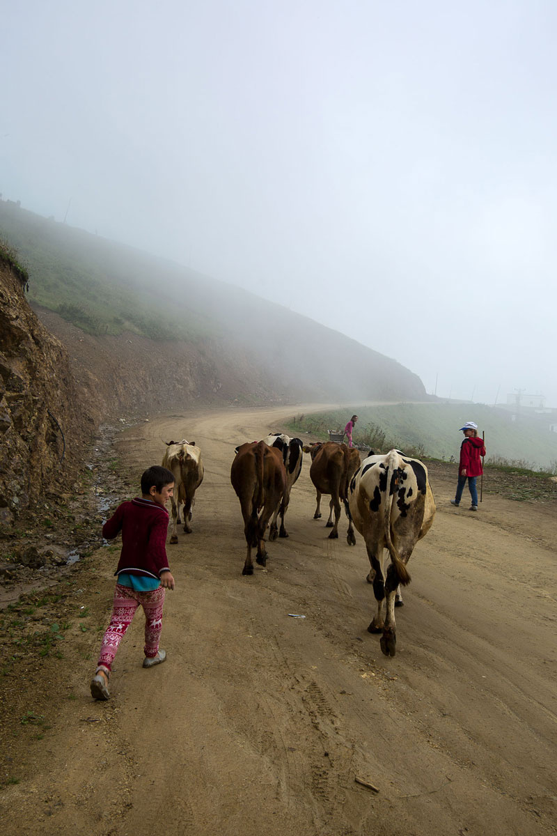 Yayla Yollarında.TONYA