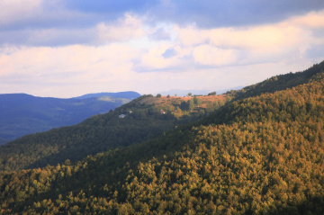 Ordu-Akkuş'tan Bir Köy