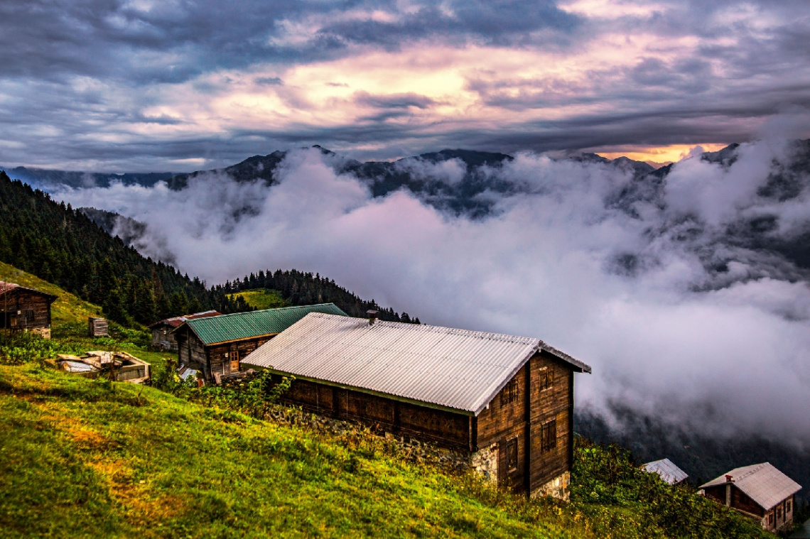 Pokut Yaylası/Ç.HEMŞİN.