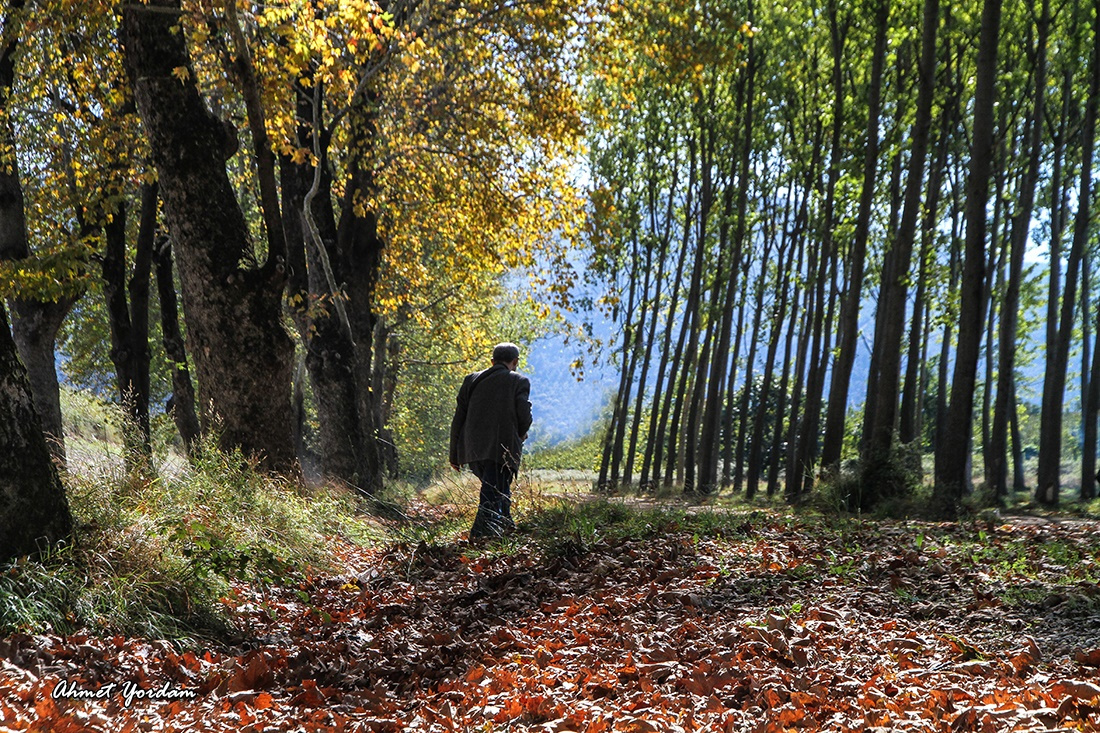 Dudaklı, Bursa