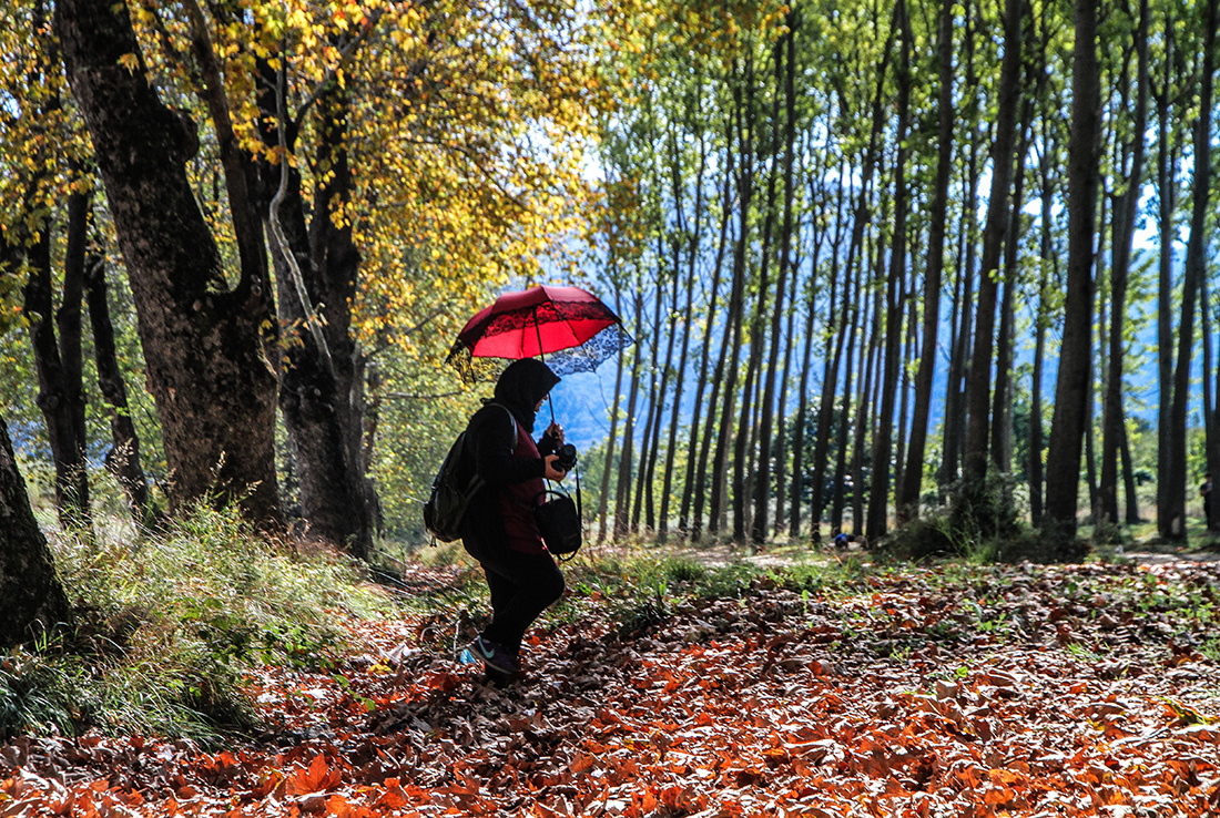 Dudaklı, Bursa