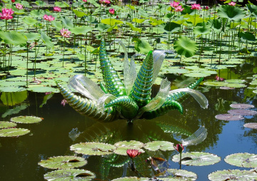 Dale Chihuly