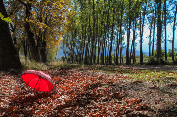 Dudaklı, Bursa