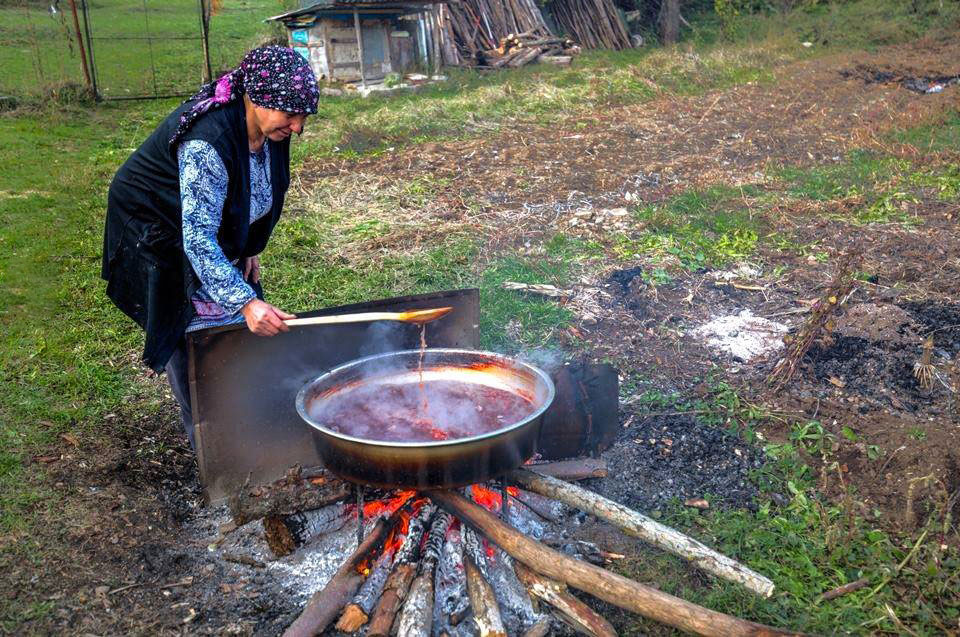 Armut Pekmezi.ŞAVŞAT.