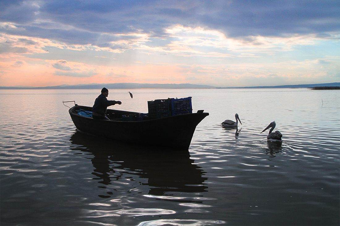 Balıkçı, Manyas