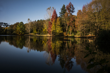 Atatürk Arboretum'da Yansıma