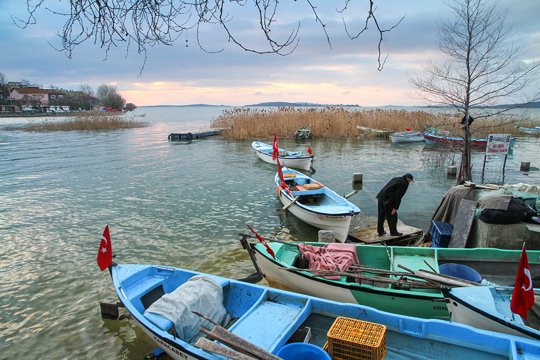 Gölyazı