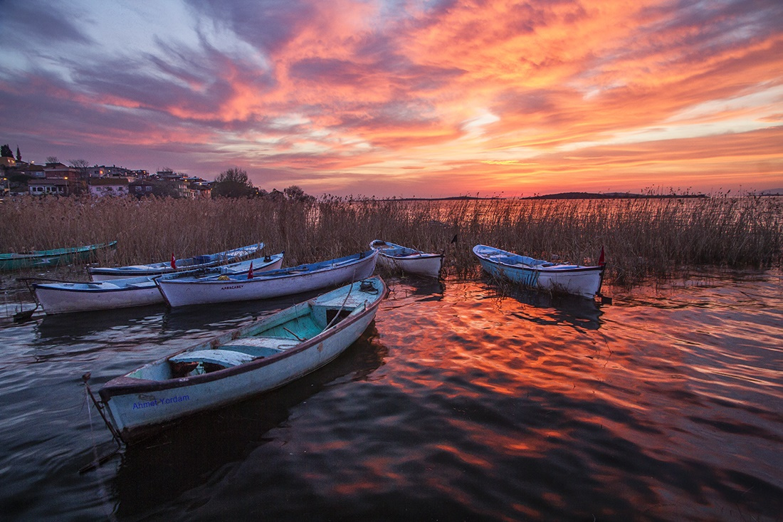 Gölyazı