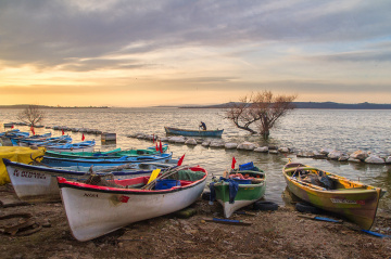 Gölyazı